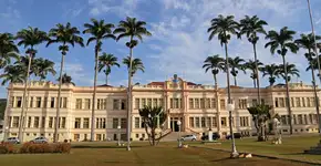 Foto: (Divulgação)