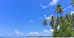 Foto: (Andreas Giannakis/iStock)