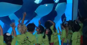 Foto: (Imagem sem texto alternativo disponivel ID [1050316])