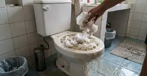 Levei muito tempo para entender por que o papel higiênico não deve ser jogado no vaso sanitário