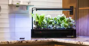 Foto: (Imagem sem texto alternativo disponivel ID [1830541])