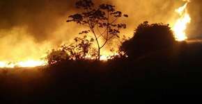 Foto: (Imagem sem texto alternativo disponivel ID [1013503])