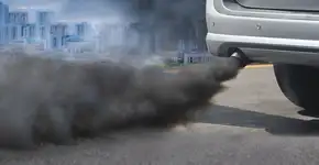 Partículas de poluição são encontradas em pulmões e cérebro de fetos