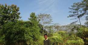 Sozinho, homem planta uma floresta maior que 3 parques Ibirapuera