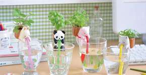 Foto: (Imagem sem texto alternativo disponivel ID [1834947])