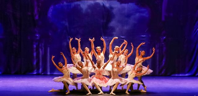 Festival Paraisópolis das Artes