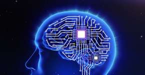 Foto: (Imagem sem texto alternativo disponivel ID [857535])