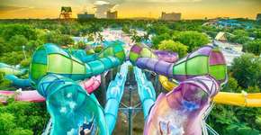 5 parques aquáticos que você precisa conhecer em Orlando