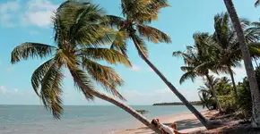 Foto: (Mala de Aventuras)