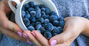 Foto: (iStock/Anastasiia Yanishevska)