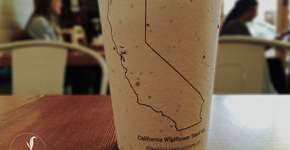 Foto: (Imagem sem texto alternativo disponivel ID [825342])