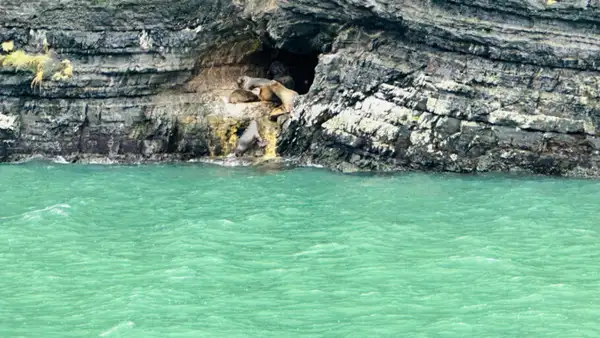 Passeio leva para as geleiras patagônicas Balmaceda e Serrano, no Day of Adventure, da ATWS