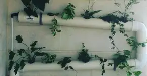 Faça você mesmo: 9 ideias de jardim suspenso