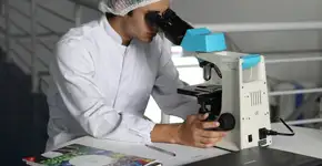 Descoberta científica revela nova forma de combater o câncer