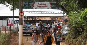 Trilha, música e gastronomia marcam Festival do Ora-pro-nobis