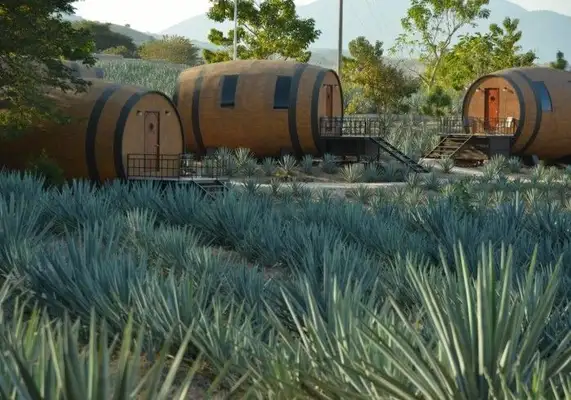 Matices Hotel de Barricas