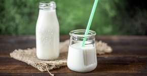 Probióticos e prebióticos: entenda o que são e para que servem