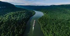 Entenda como a floresta em pé pode superar a pobreza, crises climáticas e melhorar as cidades