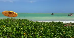 Foto: (Istock/caio acquesta)