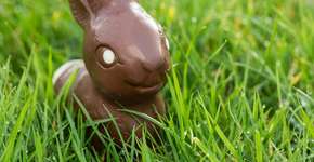 Gaúchos quebram recorde de maior coelho de chocolate do mundo