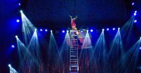 Foto: (Imagem sem texto alternativo disponivel ID [2228910])