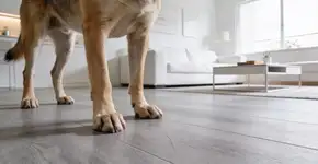 Foto: (Imagem sem texto alternativo disponivel ID [2694825])