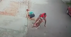 Jovem salva criança de ataque de pitbull no Rio e câmeras flagram