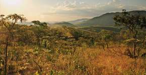 Reserva Natural Serra do Tombador procura novo administrador