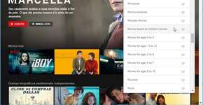 Extensão do Chrome mostra categorias secretas da Netflix