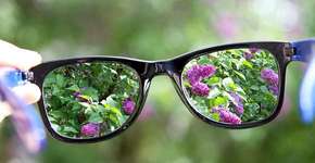 Foto: (Imagem sem texto alternativo disponivel ID [1831967])