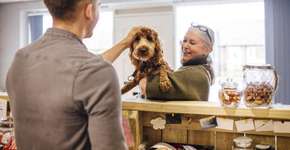 10 hotéis para quem quer viajar com seu animal de estimação