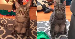 Foto: (Imagem sem texto alternativo disponivel ID [1038015])