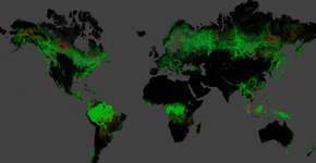 Mapa mostra crescimento do desmatamento no mundo na última década