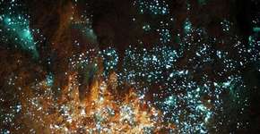 Foto: (Imagem sem texto alternativo disponivel ID [516762])