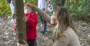 Curtir a natureza fortalece vínculos familiares, indica estudo