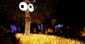 Foto: (Divulgação Sherlock Communications)