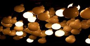 Foto: (Imagem sem texto alternativo disponivel ID [1831170])