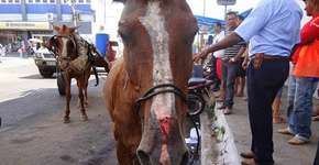 Foto: (Imagem sem texto alternativo disponivel ID [1869622])