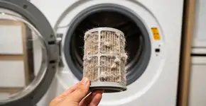 Foto: (Imagem sem texto alternativo disponivel ID [2678141])