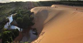 Safári pelo Jalapão é experiência única e que cabe no bolso