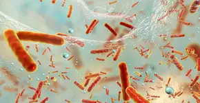 Foto: (Dr_Microbe/istock)