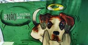 Escola homenageia cadela morta no Carrefour com desenho em muro