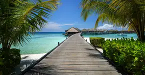 Foto: (Divulgação)