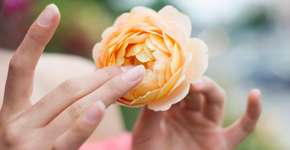 Foto: (Elitsa Deykova/istock)