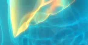 Os sintomas da gordura no fígado