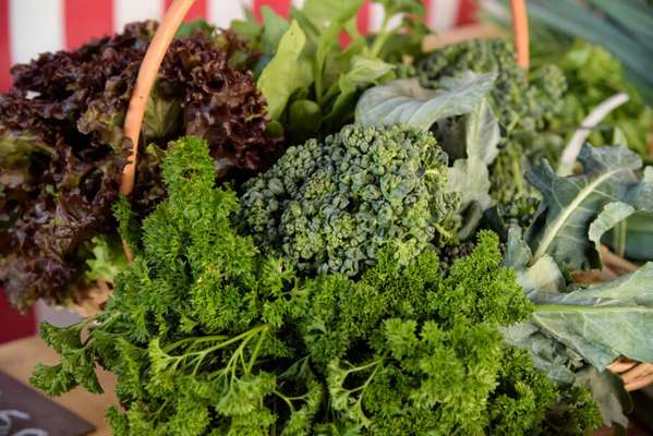 10ª edição do Mercadinha do Brasília chega ao Brasília Shopping. Foto: divulgação