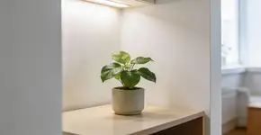 Foto: (Imagem sem texto alternativo disponivel ID [2692351])