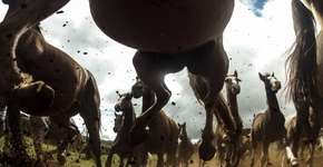 Visitação ao Museu Nacional da UFRJ tem trilha sonora do espetáculo “Os Miseráveis”