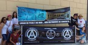 Foto: (Imagem sem texto alternativo disponivel ID [1166236])