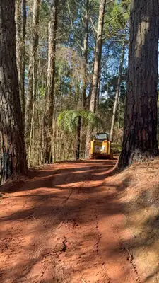 Obras do Terra dos Dinos começaram neste mês e inauguração está prevista para maio de 2026